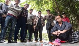 老板在广州最新爆料,最新商业动态与市场趋势