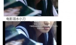 小说视频娱乐圈吃瓜,揭秘“吃瓜”背后的娱乐真相