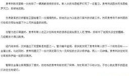盗火线手机在线观看,手机在线观看，揭秘金融巨盗的惊心动魄冒险